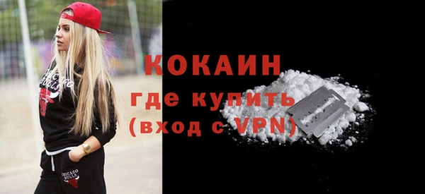 шишки Вязники