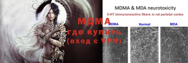 шишки Вязники