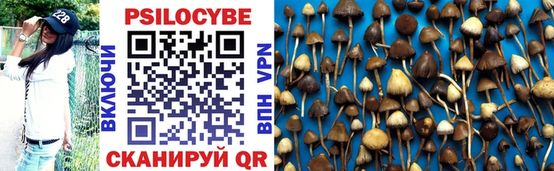 Галлюциногенные грибы мицелий  Бийск 
