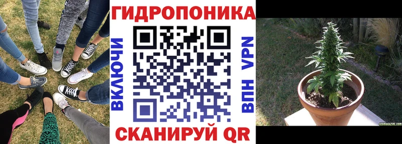 закладка  Бийск  Бошки Шишки гибрид 